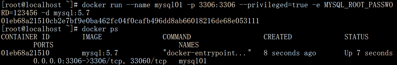 image-20201224153106238