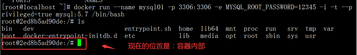 image-20201224152356635