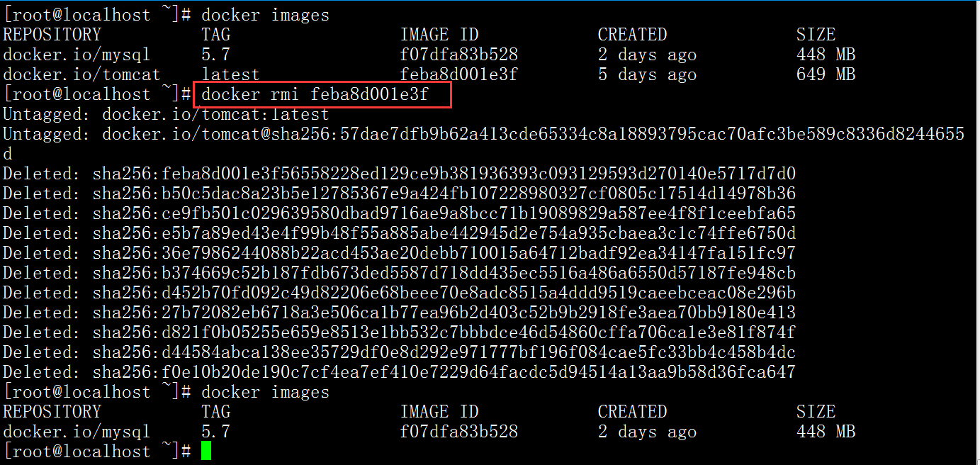 image-20201224160004473