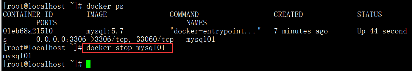 image-20201224153735397