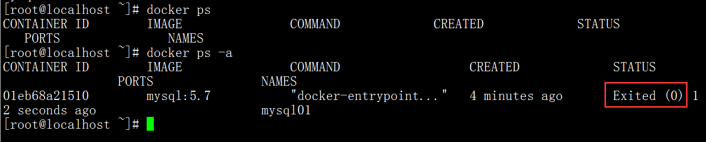 image-20201224153443726