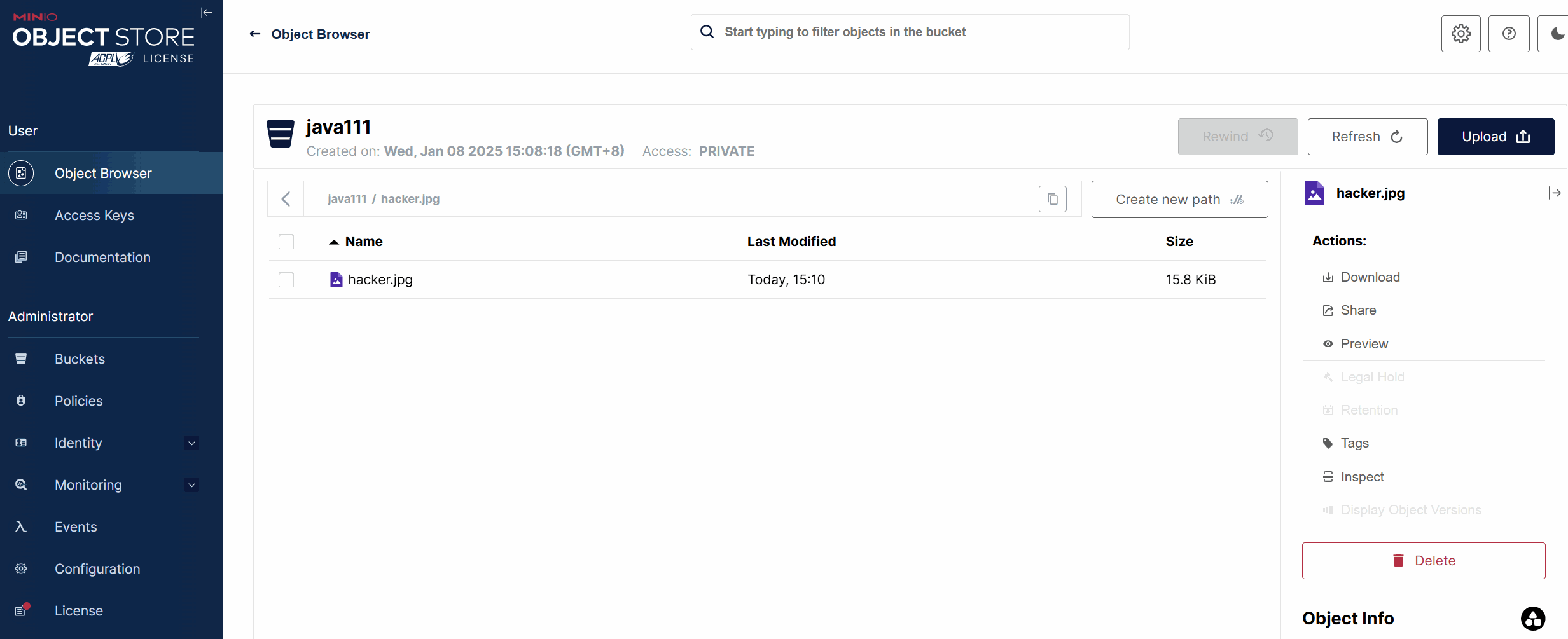 sp20250108_151237_821