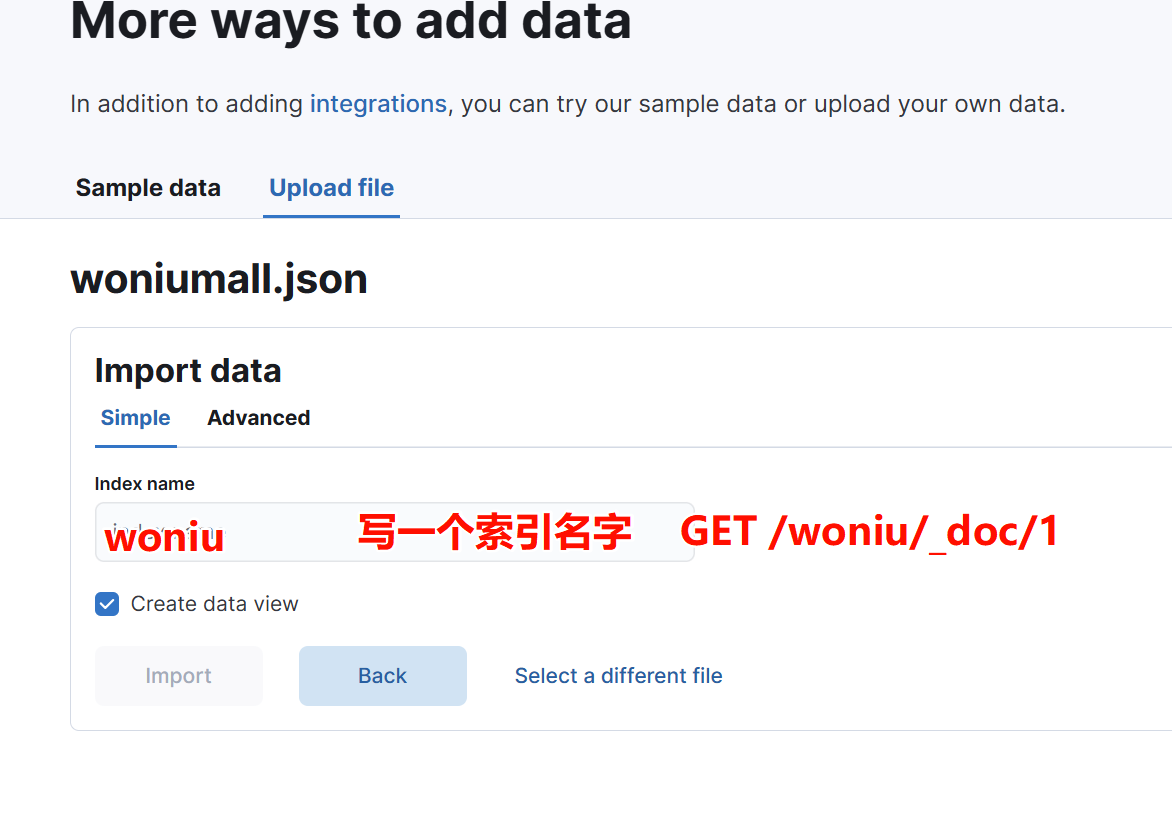 image-20250109160328784