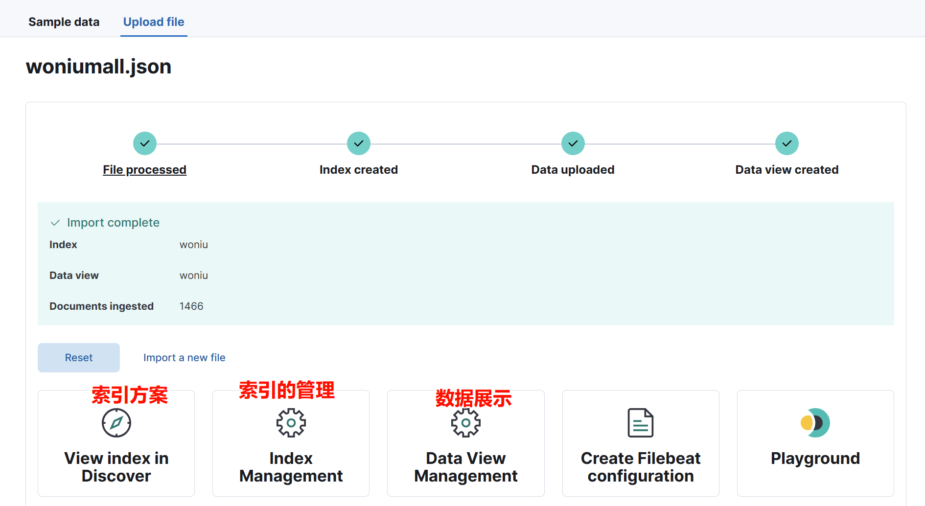 image-20250109160407812