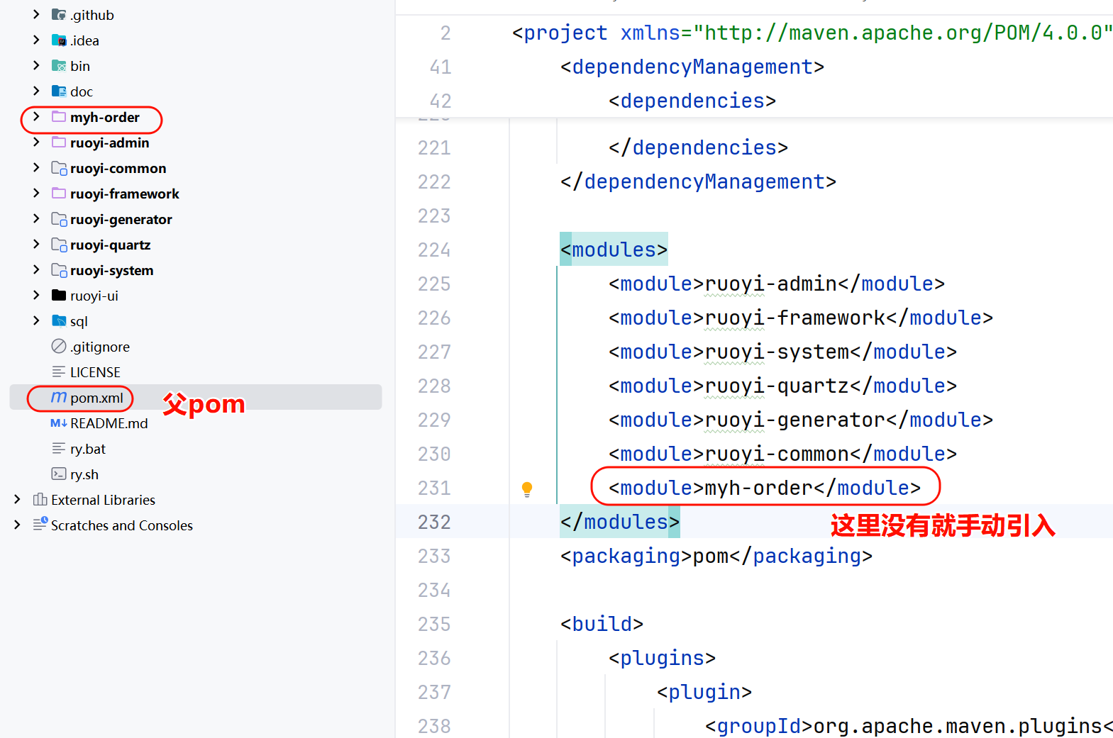 image-20250307114328578